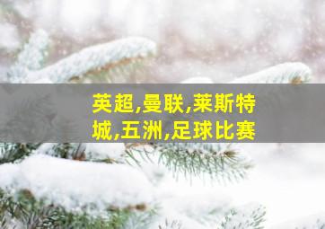 英超,曼联,莱斯特城,五洲,足球比赛