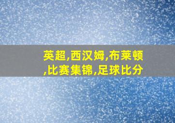英超,西汉姆,布莱顿,比赛集锦,足球比分