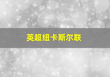 英超纽卡斯尔联