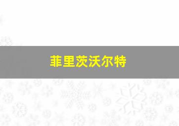 菲里茨沃尔特
