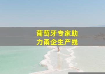 葡萄牙专家助力甬企生产线