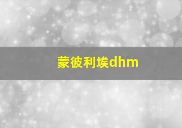 蒙彼利埃dhm