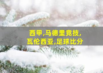 西甲,马德里竞技,瓦伦西亚,足球比分