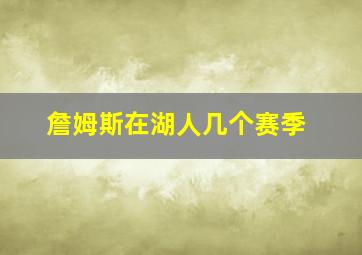 詹姆斯在湖人几个赛季