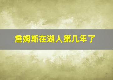 詹姆斯在湖人第几年了
