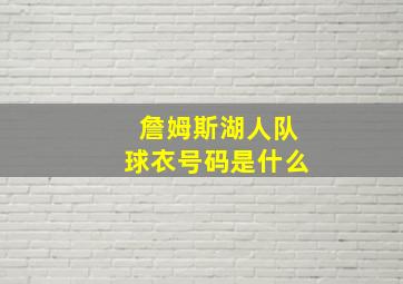 詹姆斯湖人队球衣号码是什么