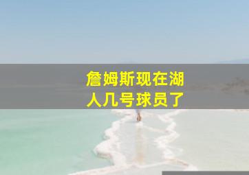 詹姆斯现在湖人几号球员了