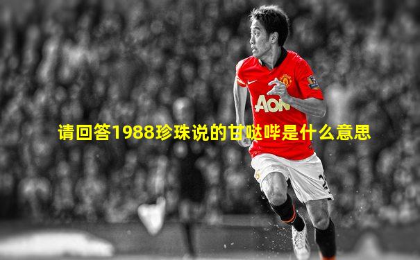 请回答1988珍珠说的甘哒哔是什么意思