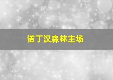 诺丁汉森林主场