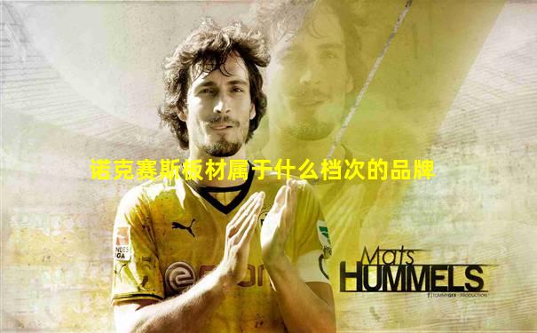 诺克赛斯板材属于什么档次的品牌