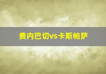 费内巴切vs卡斯帕萨