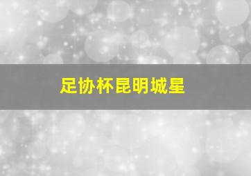 足协杯昆明城星