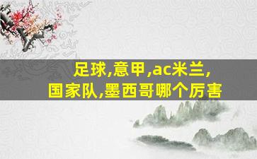 足球,意甲,ac米兰,国家队,墨西哥哪个厉害