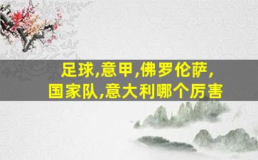 足球,意甲,佛罗伦萨,国家队,意大利哪个厉害