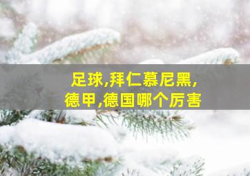 足球,拜仁慕尼黑,德甲,德国哪个厉害