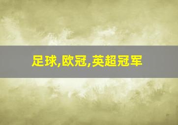 足球,欧冠,英超冠军