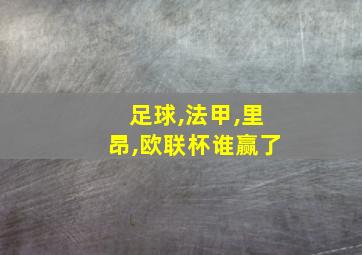 足球,法甲,里昂,欧联杯谁赢了
