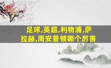 足球,英超,利物浦,萨拉赫,南安普顿哪个厉害