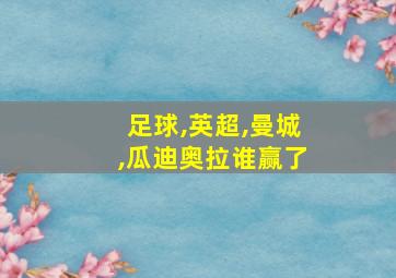 足球,英超,曼城,瓜迪奥拉谁赢了