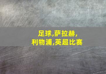 足球,萨拉赫,利物浦,英超比赛