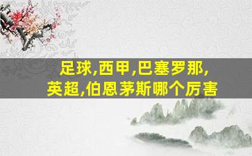 足球,西甲,巴塞罗那,英超,伯恩茅斯哪个厉害