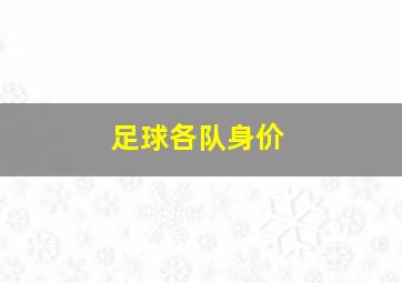 足球各队身价
