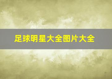 足球明星大全图片大全
