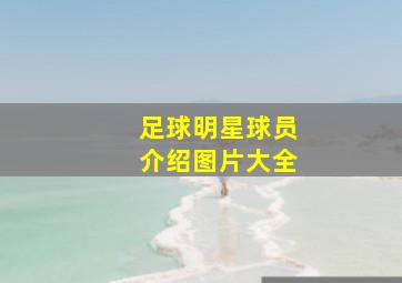 足球明星球员介绍图片大全