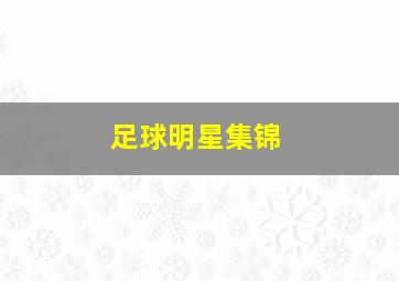 足球明星集锦