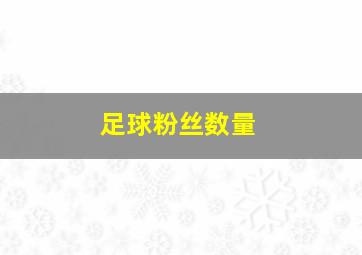 足球粉丝数量