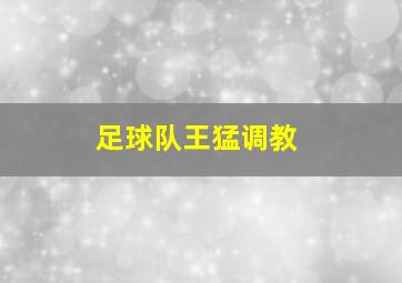 足球队王猛调教