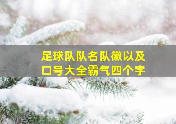 足球队队名队徽以及口号大全霸气四个字