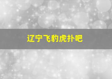 辽宁飞豹虎扑吧
