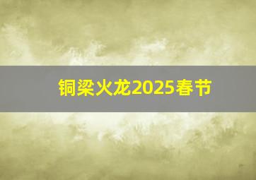 铜梁火龙2025春节
