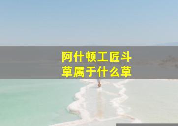 阿什顿工匠斗草属于什么草