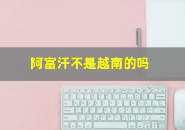 阿富汗不是越南的吗