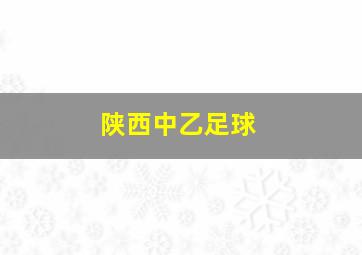 陕西中乙足球