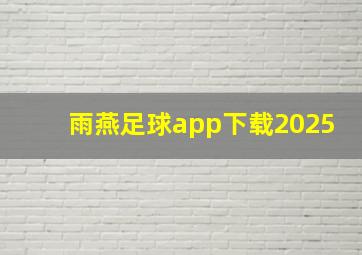 雨燕足球app下载2025
