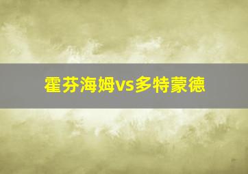 霍芬海姆vs多特蒙德