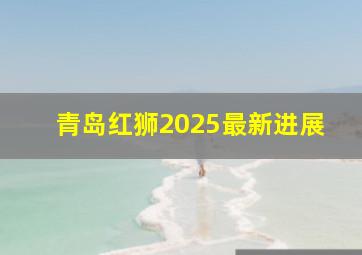 青岛红狮2025最新进展