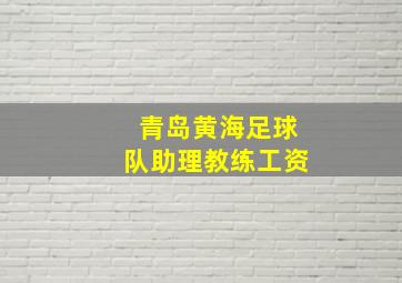 青岛黄海足球队助理教练工资