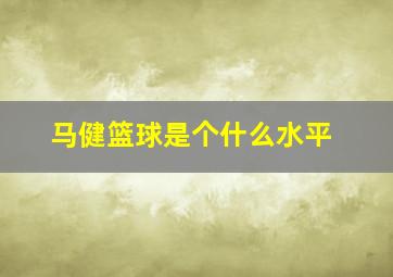 马健篮球是个什么水平