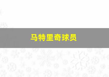 马特里奇球员