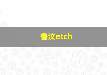 鲁汶etch