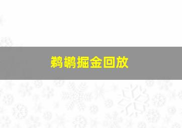 鹈鹕掘金回放