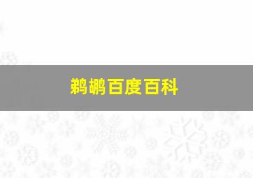 鹈鹕百度百科