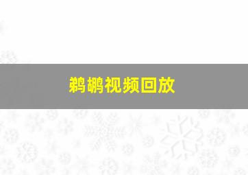 鹈鹕视频回放