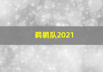 鹈鹕队2021