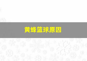 黄蜂篮球原因